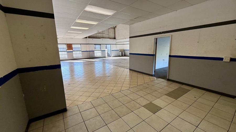 To Let commercial Property for Rent in Knysna Central Western Cape